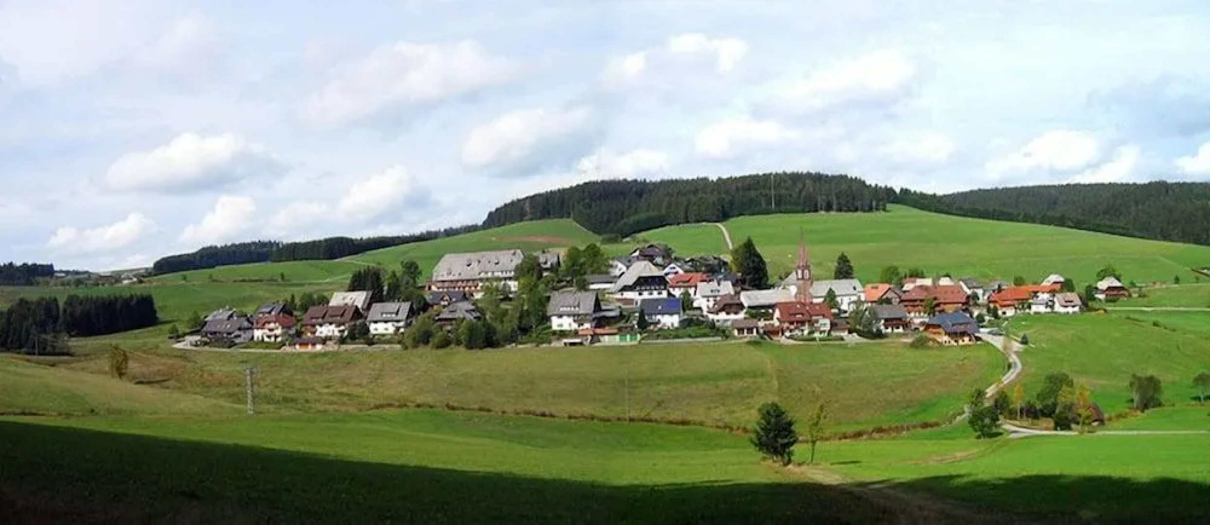 Hotel Schwarzwaldgasthof Zur Traube