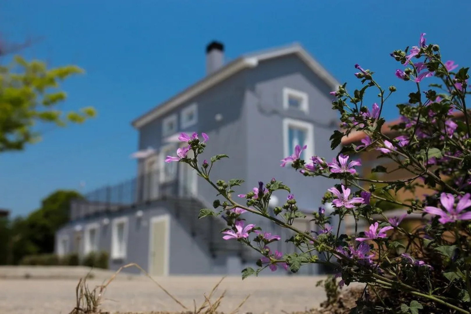 Affittacamere Nonna Laura