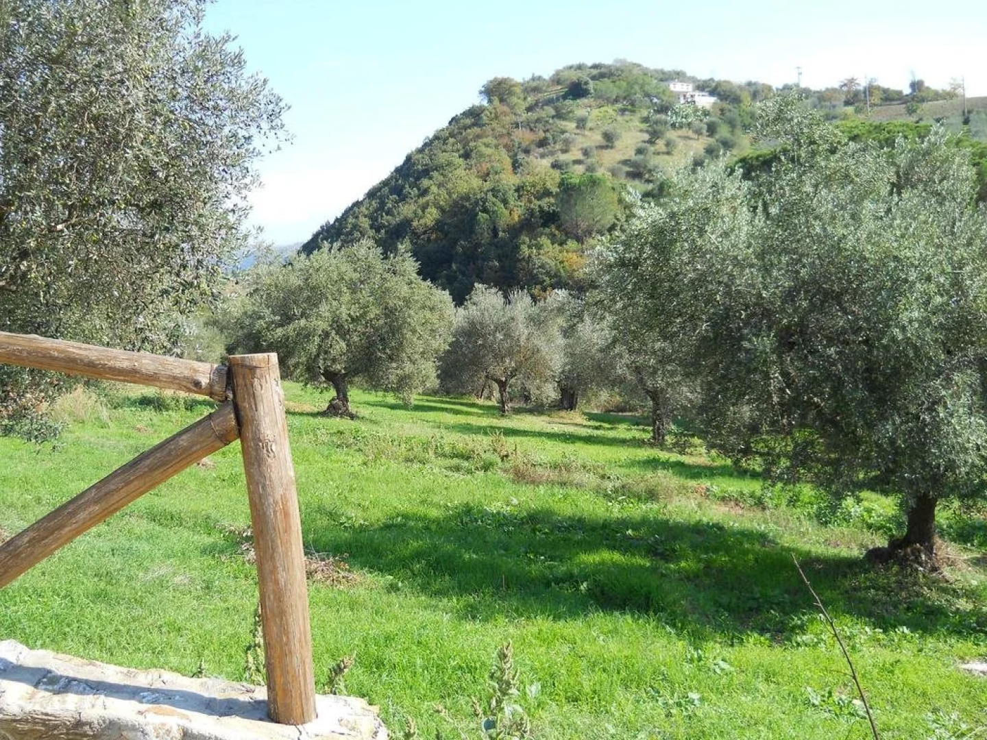 Mandria Del Dottore Toscano