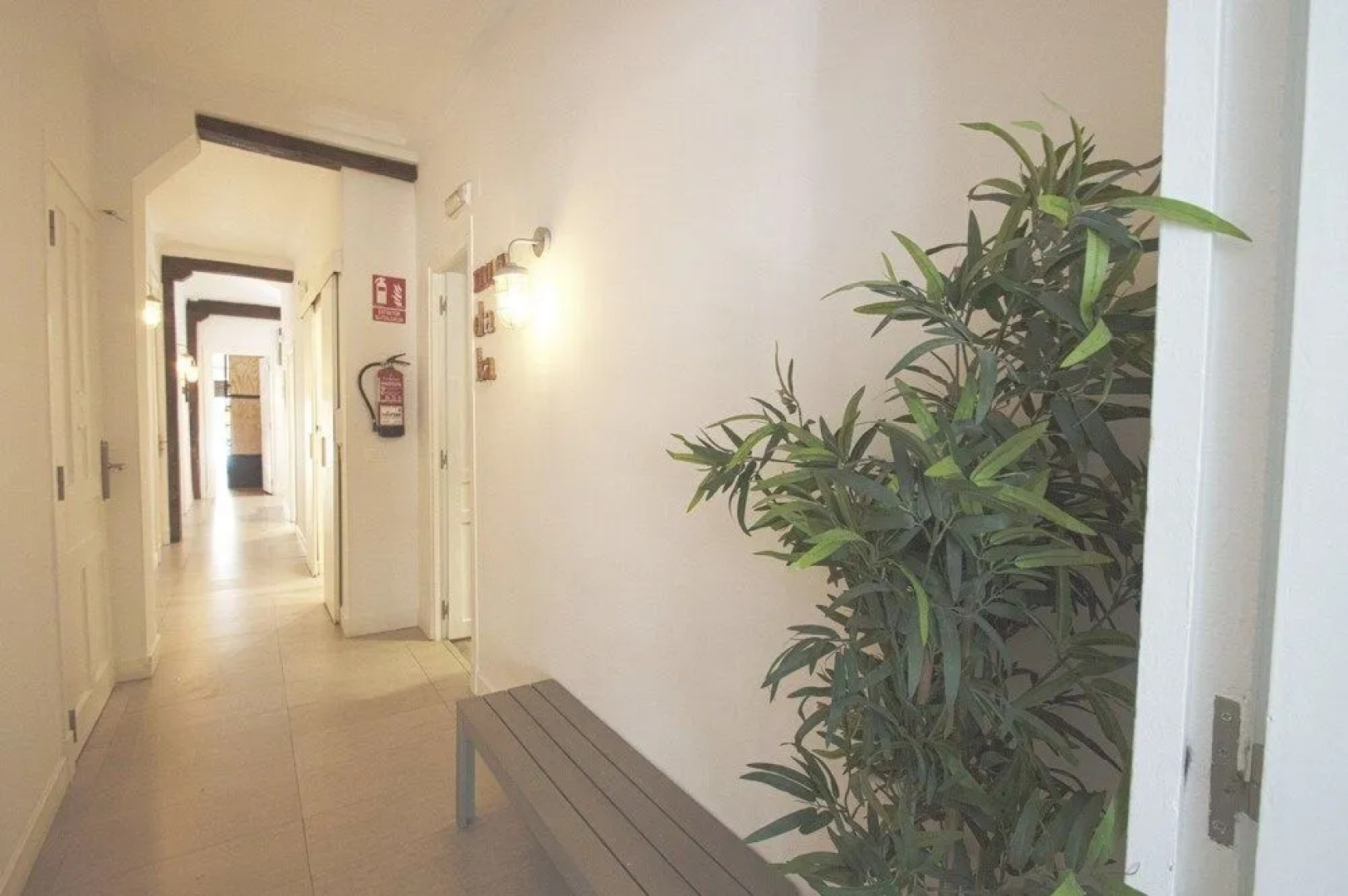 Surfing Etxea - Hostel