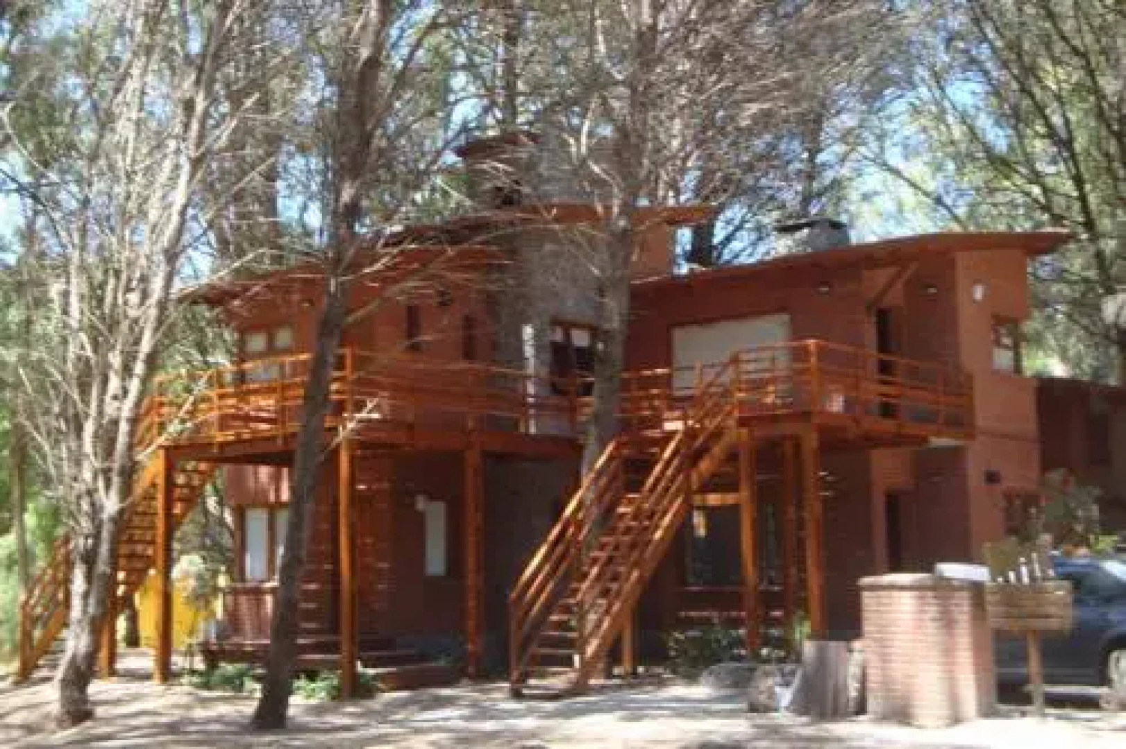 Escondida en el Bosque