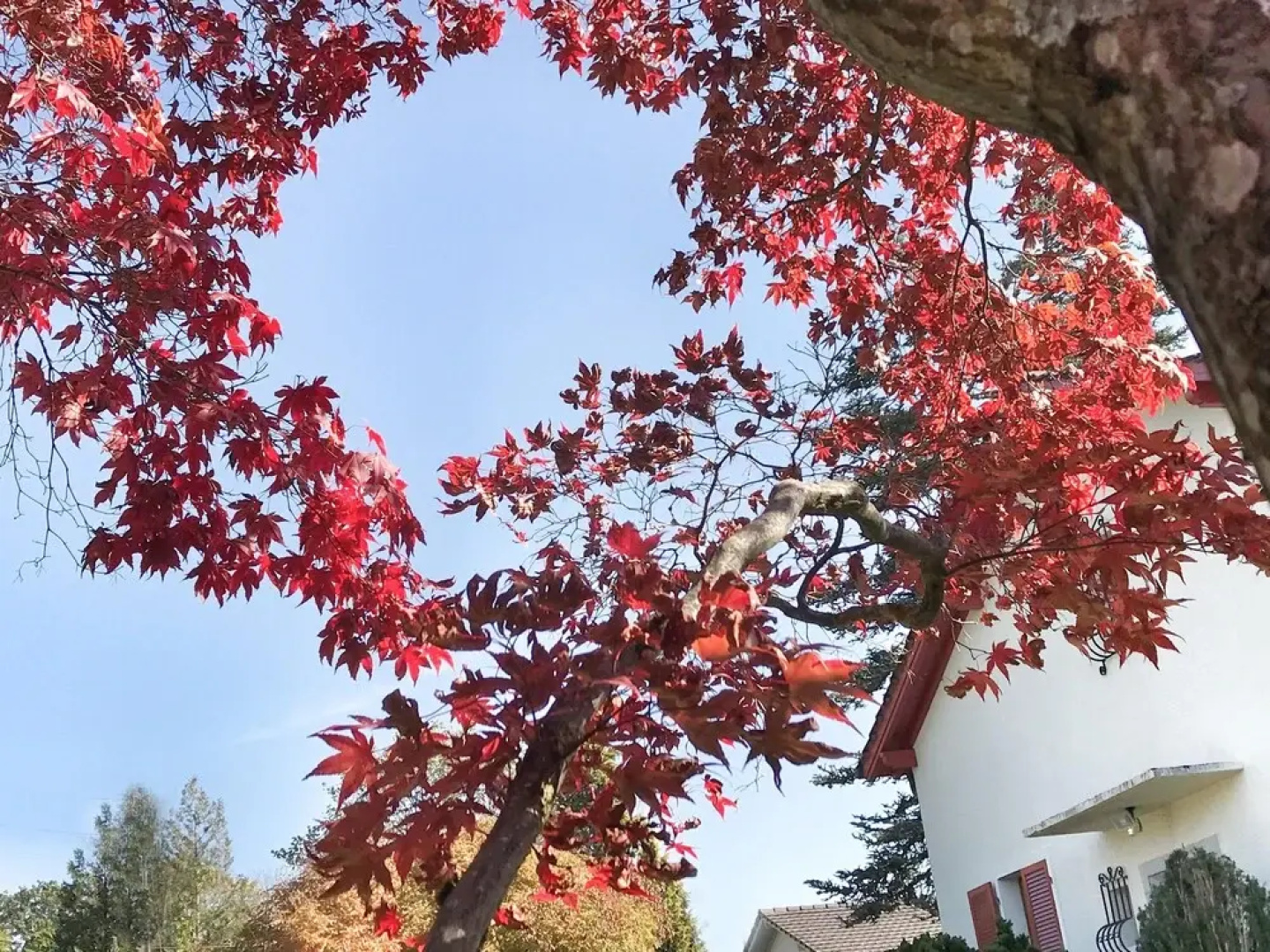 Lindo Lugar