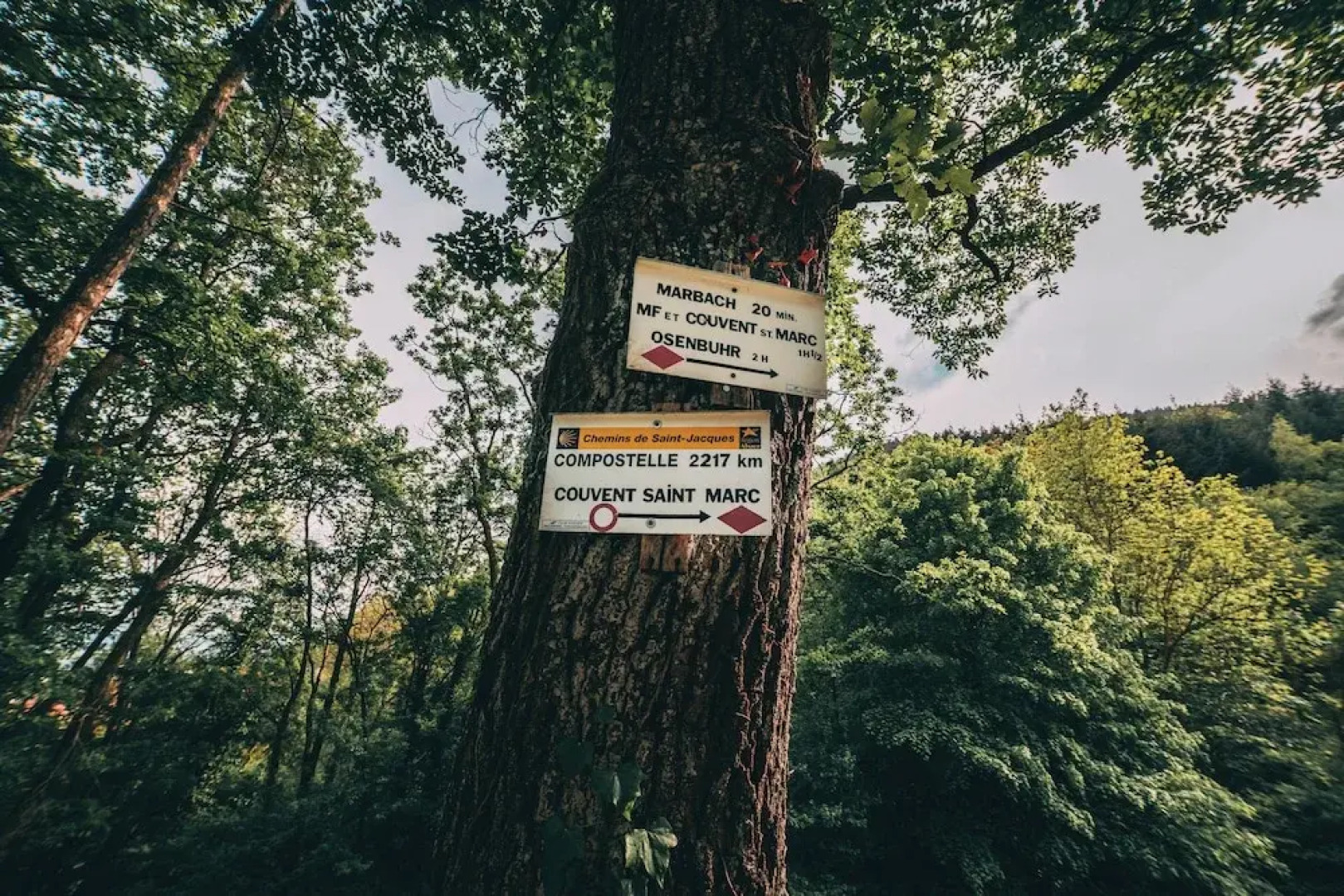 Les Appartements Husseren Collections - Proche Colmar - Eguisheim