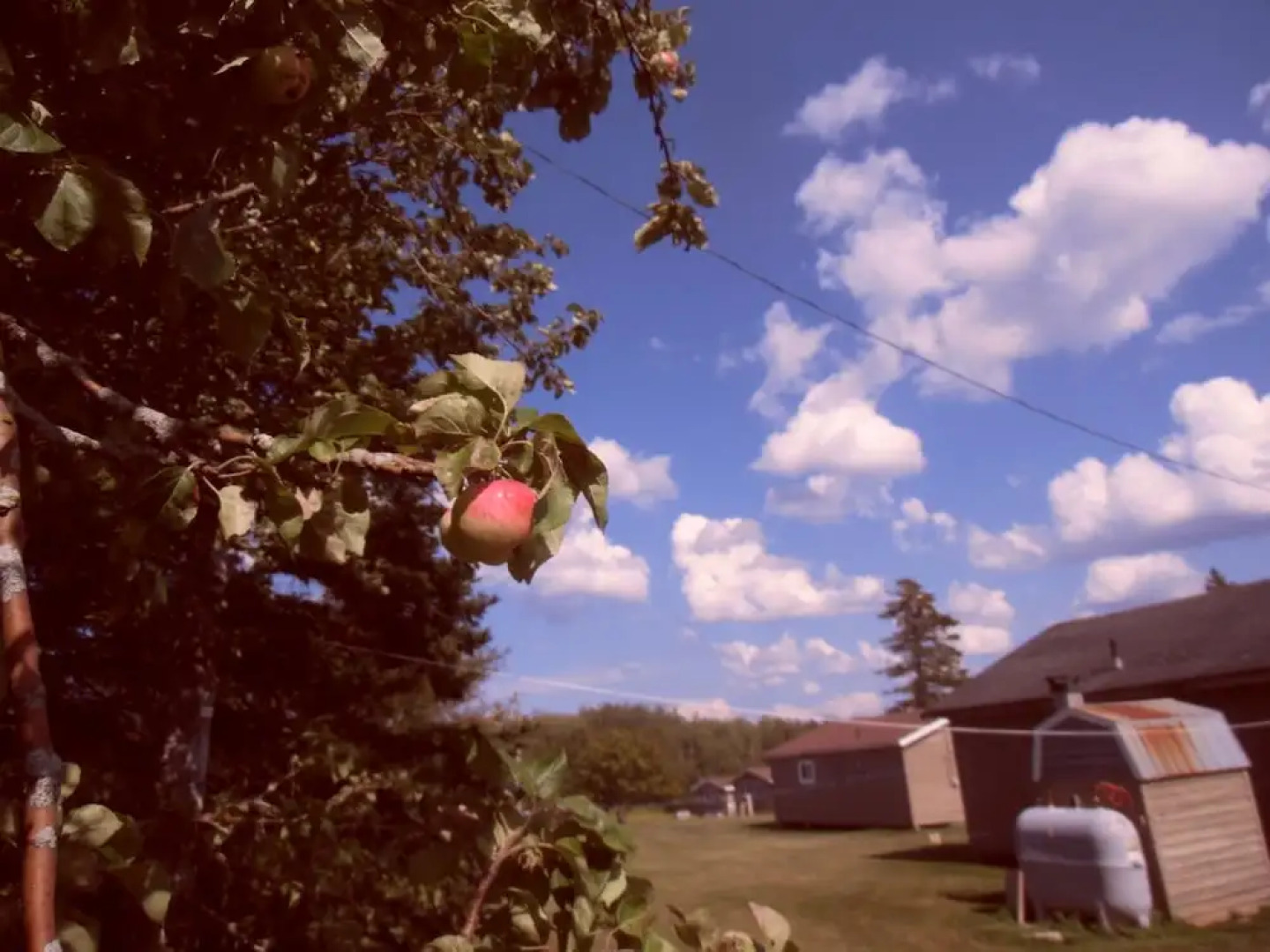 Rustico Acres Cottages