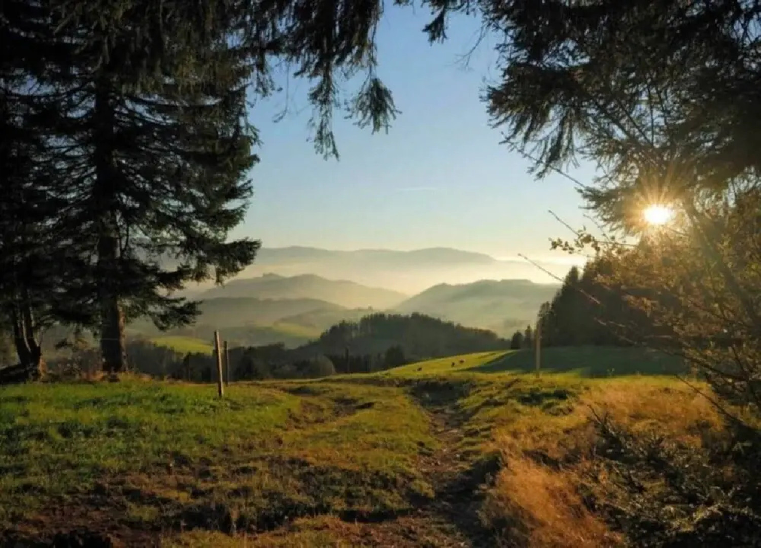 Cosy Farmhouse Apartment at the Edge of the Forest