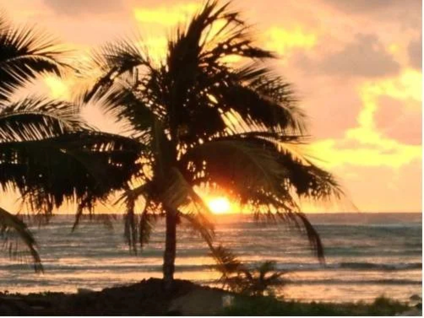 Koox Blue Bay Cabañas