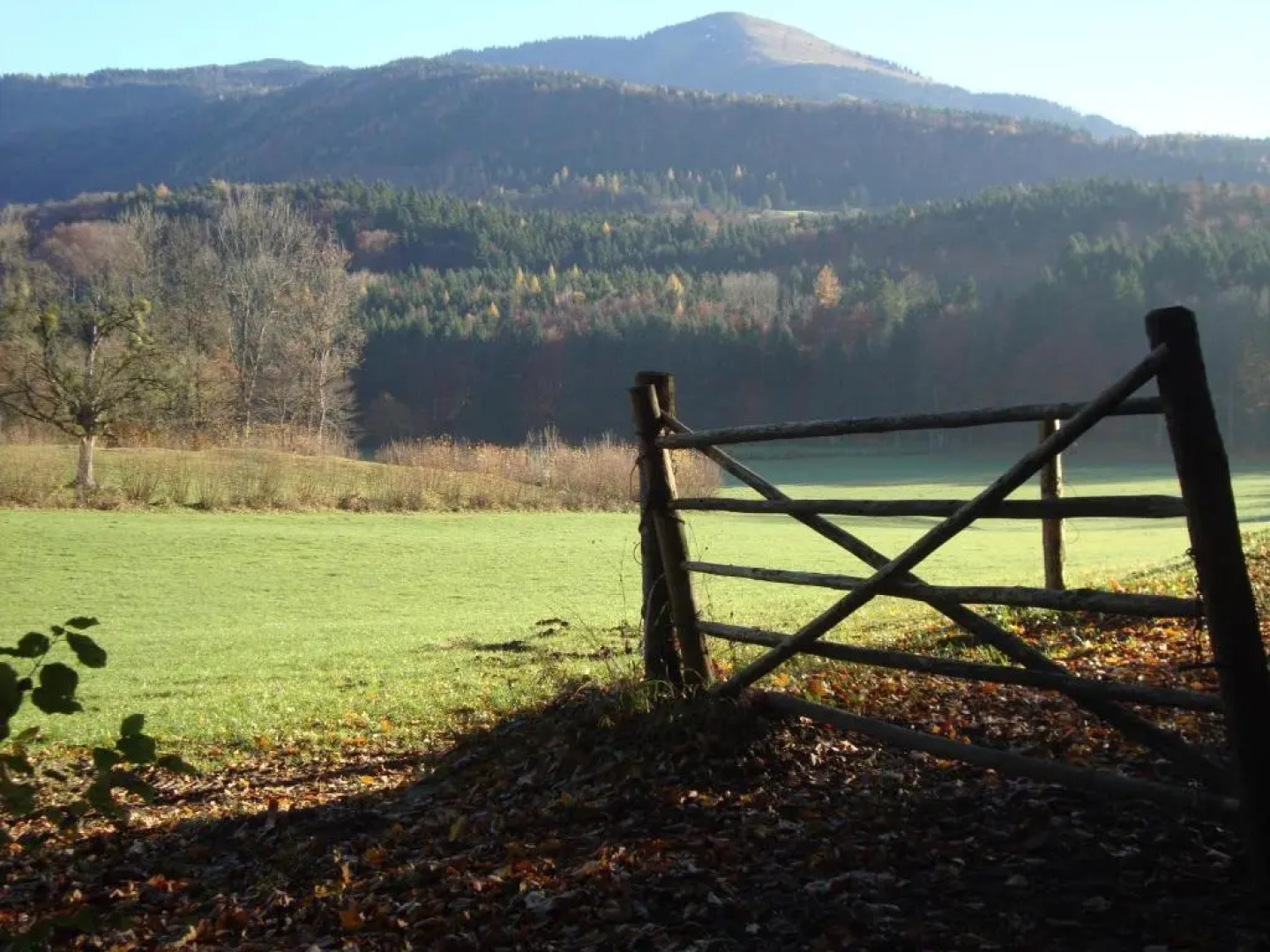 Ferienwohnung Manuela