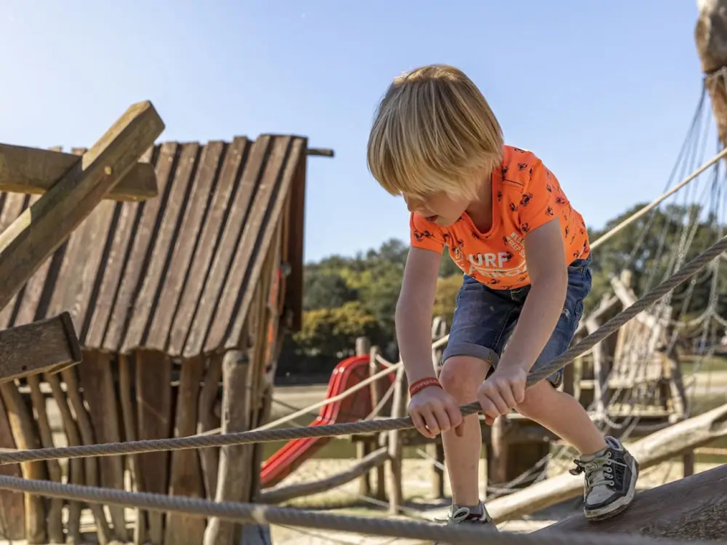 Forest Trails & Pool Nearby