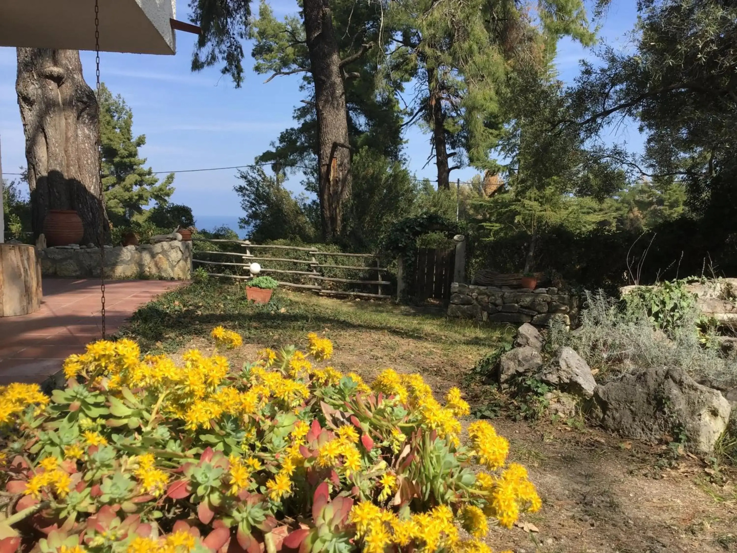 Wild Oaks Cottage