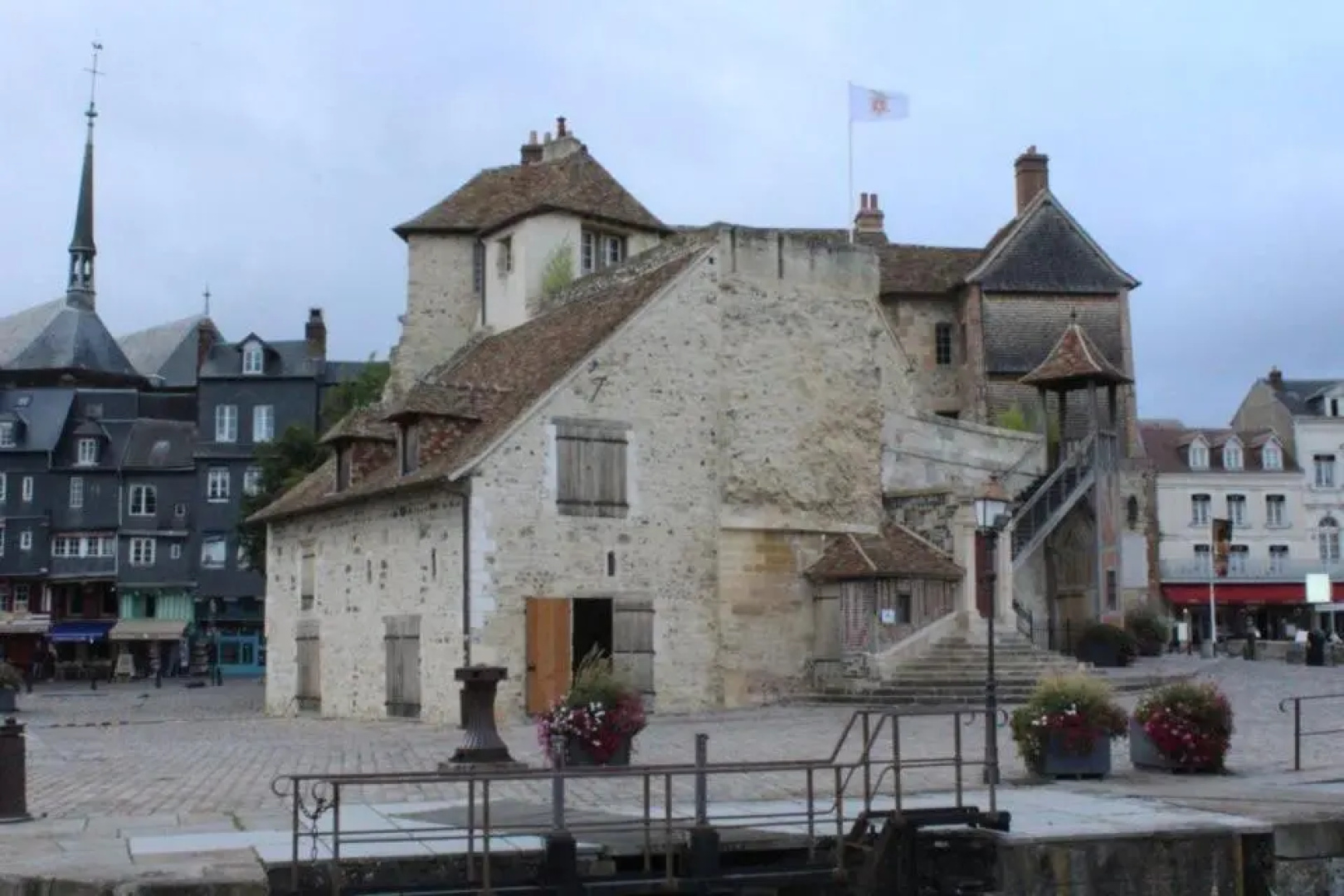 Les Glycines