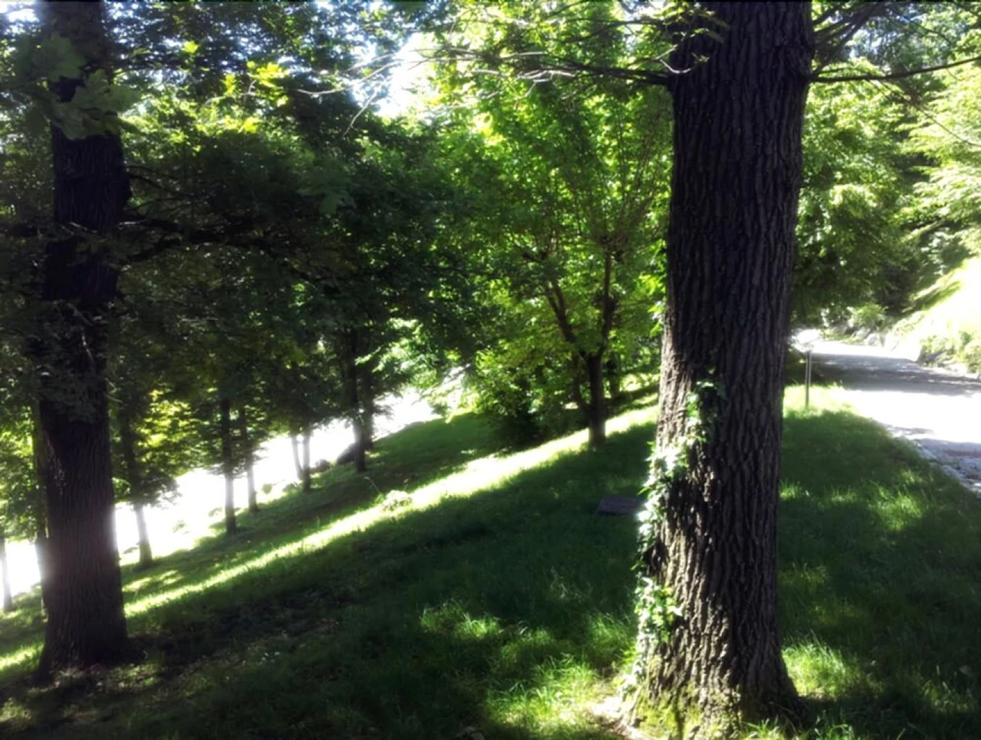 Villa Elvira Brianza