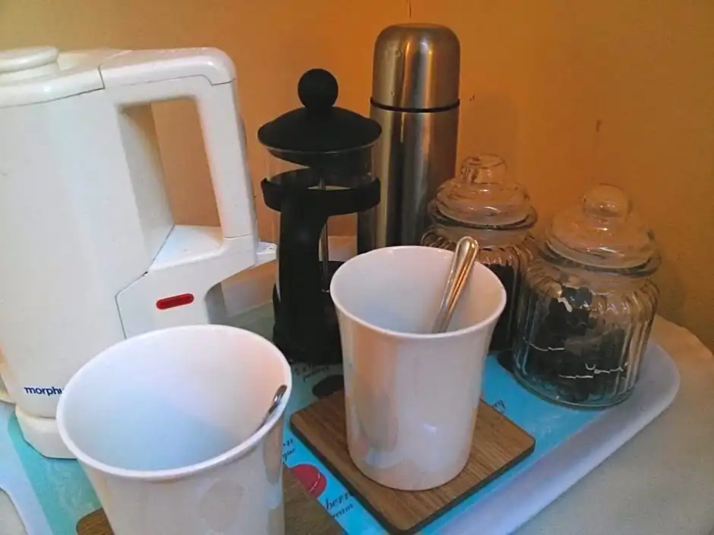 The Geese and Fountain