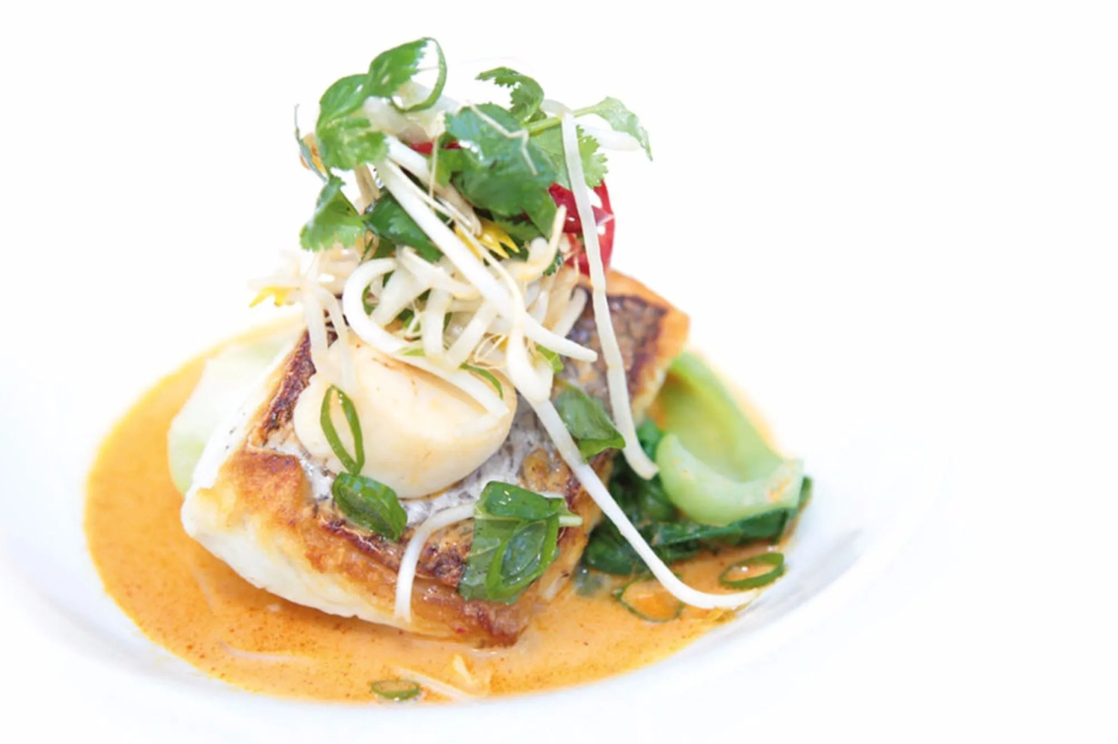 Noosa Springs Golf Resort & Spa