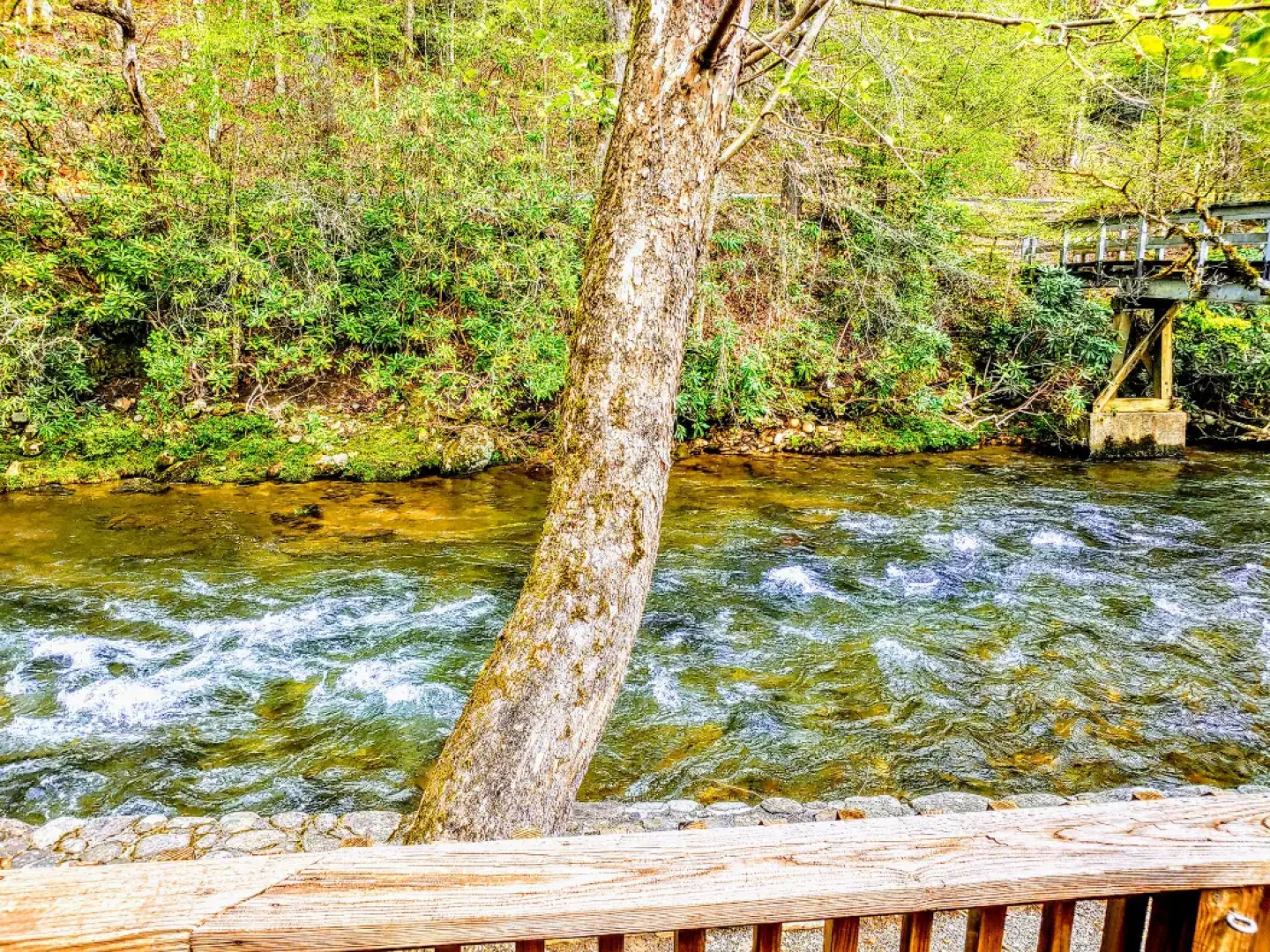 'Deep Creek Mountain Lodge' with Prvt Hot Tub and Views