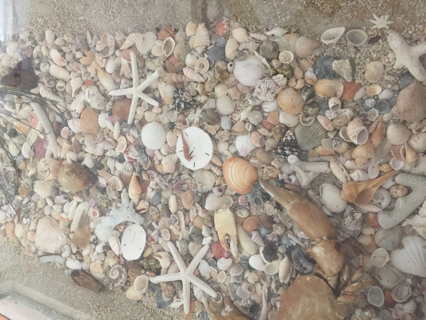 The Pelican Key Largo Cottages