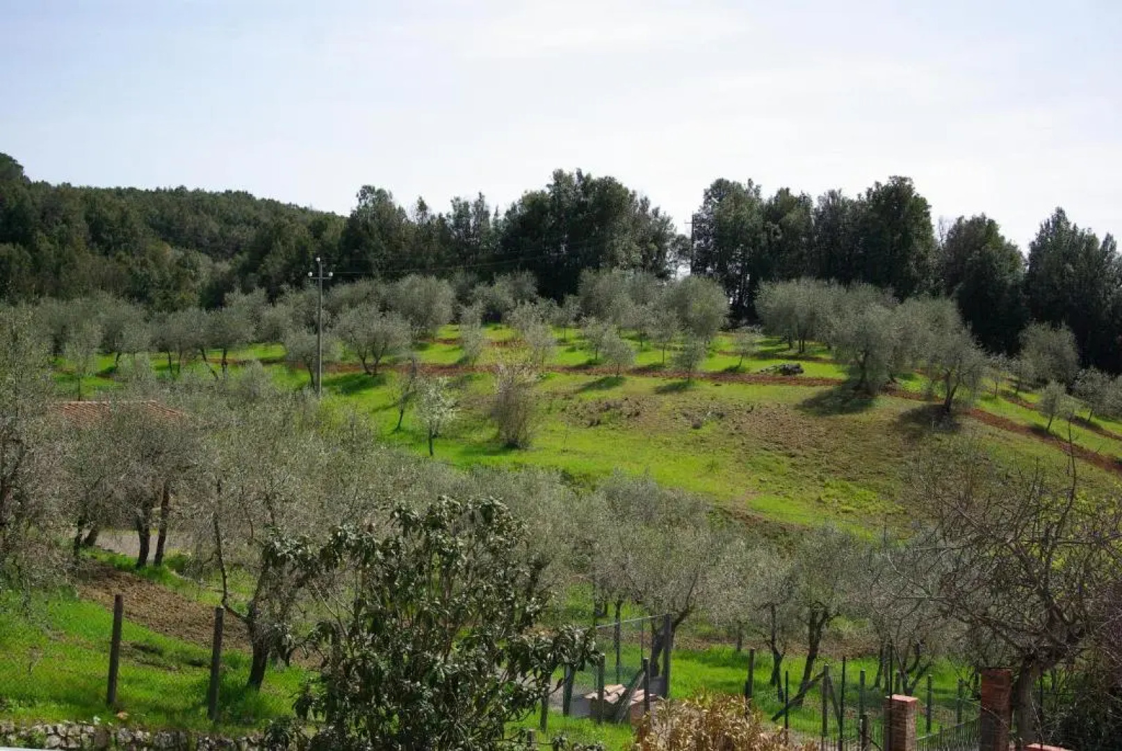 Casa di Santi - Appartamento La Cinciallegra