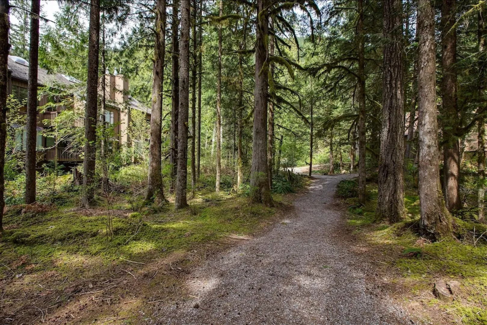 Snowater Condo 59 - A Great Family Condo With a Cabin Feel