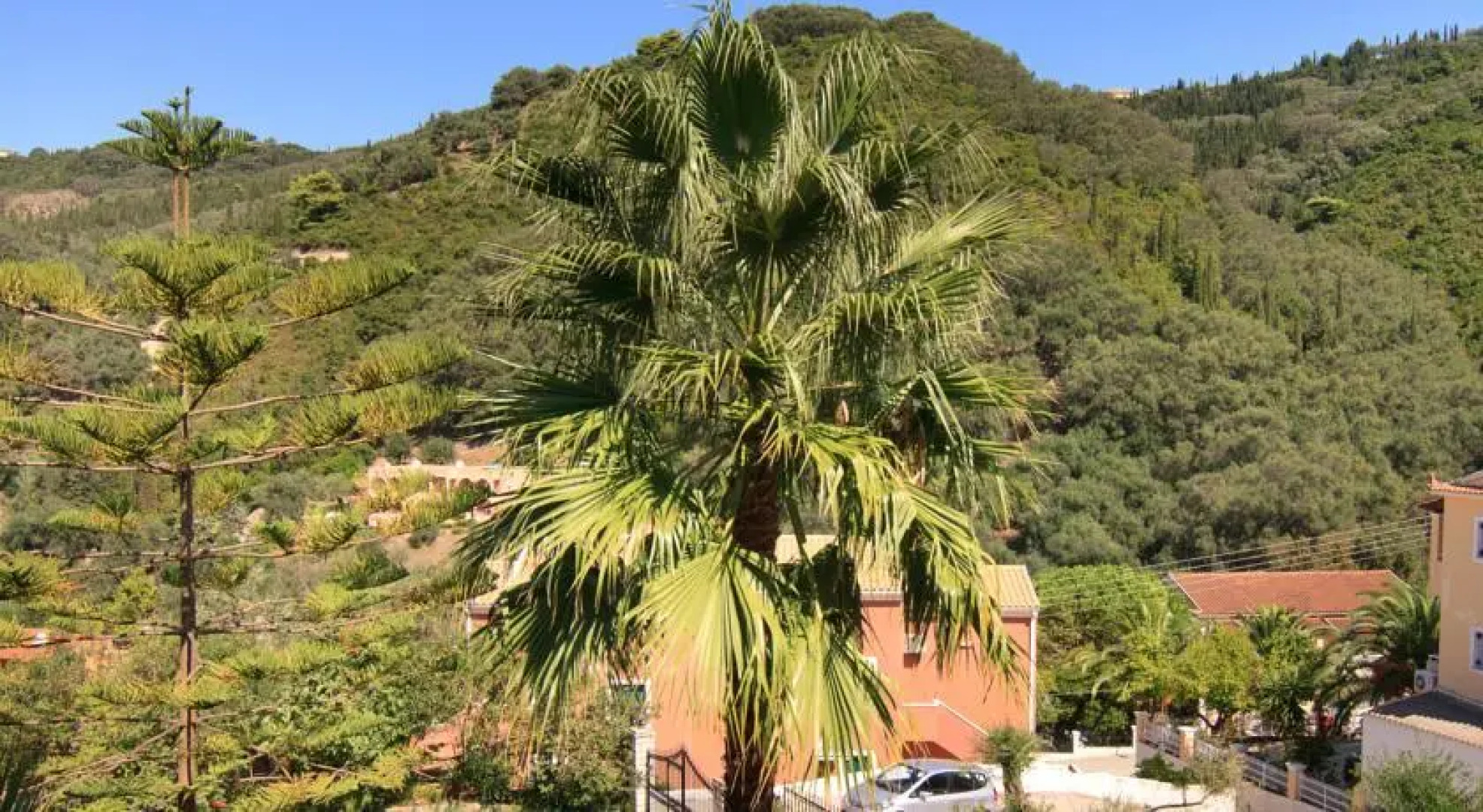 Evergreen Apartments