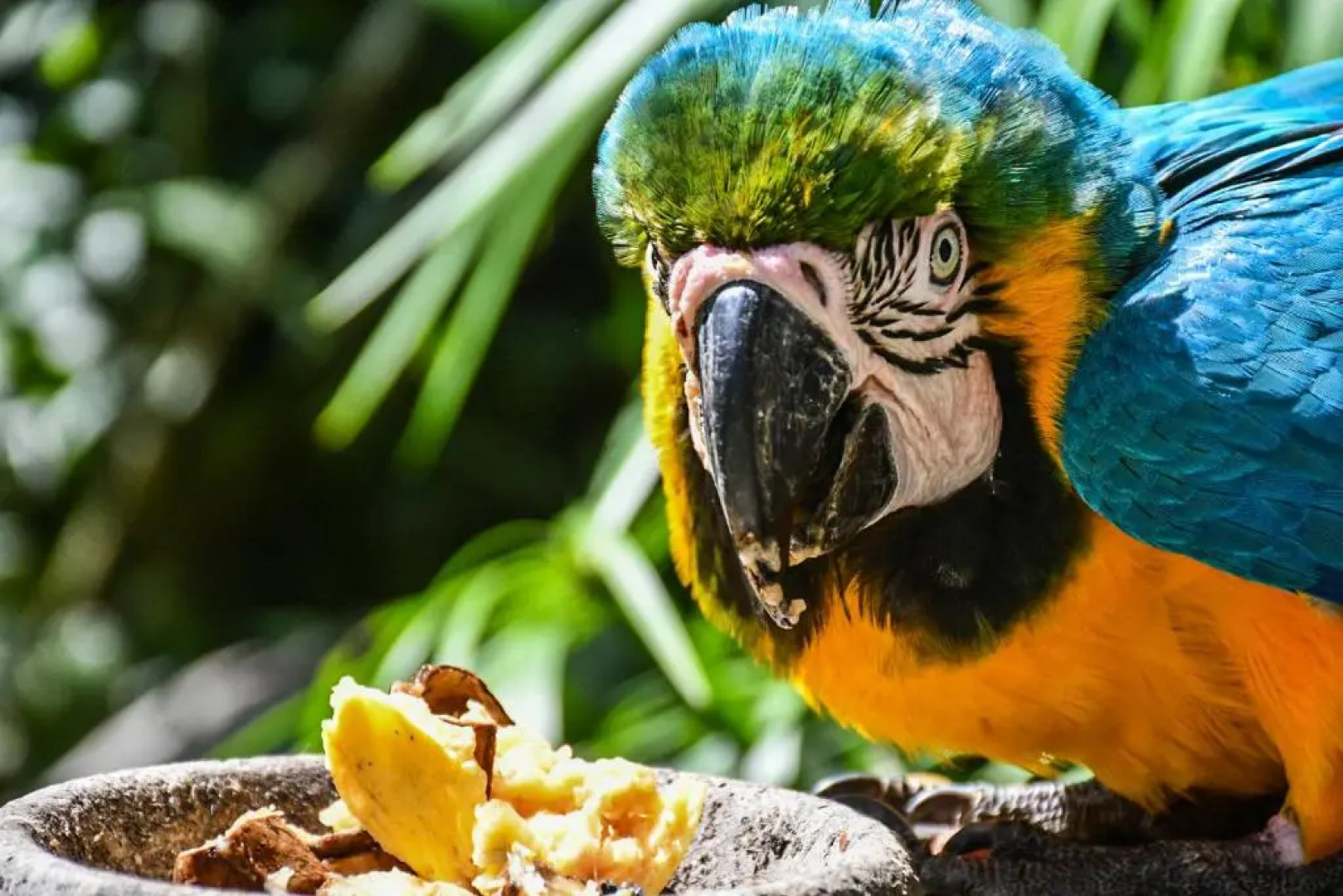 Reserva Biologica Caoba