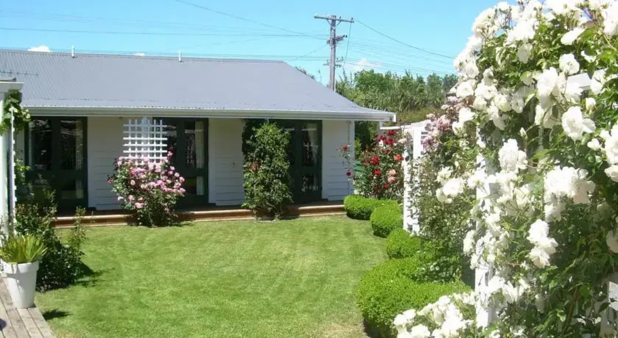 The Martinborough Connection