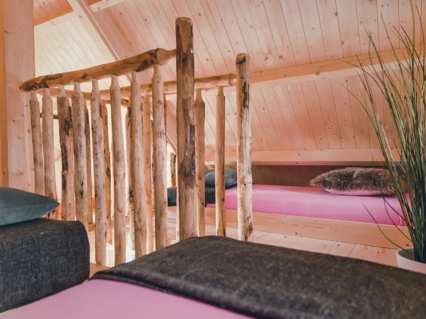 Beautiful Wooden Tree House With Terrace