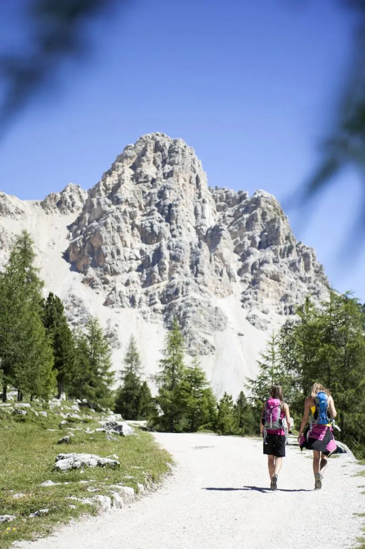 Hotel Chalet Olympia