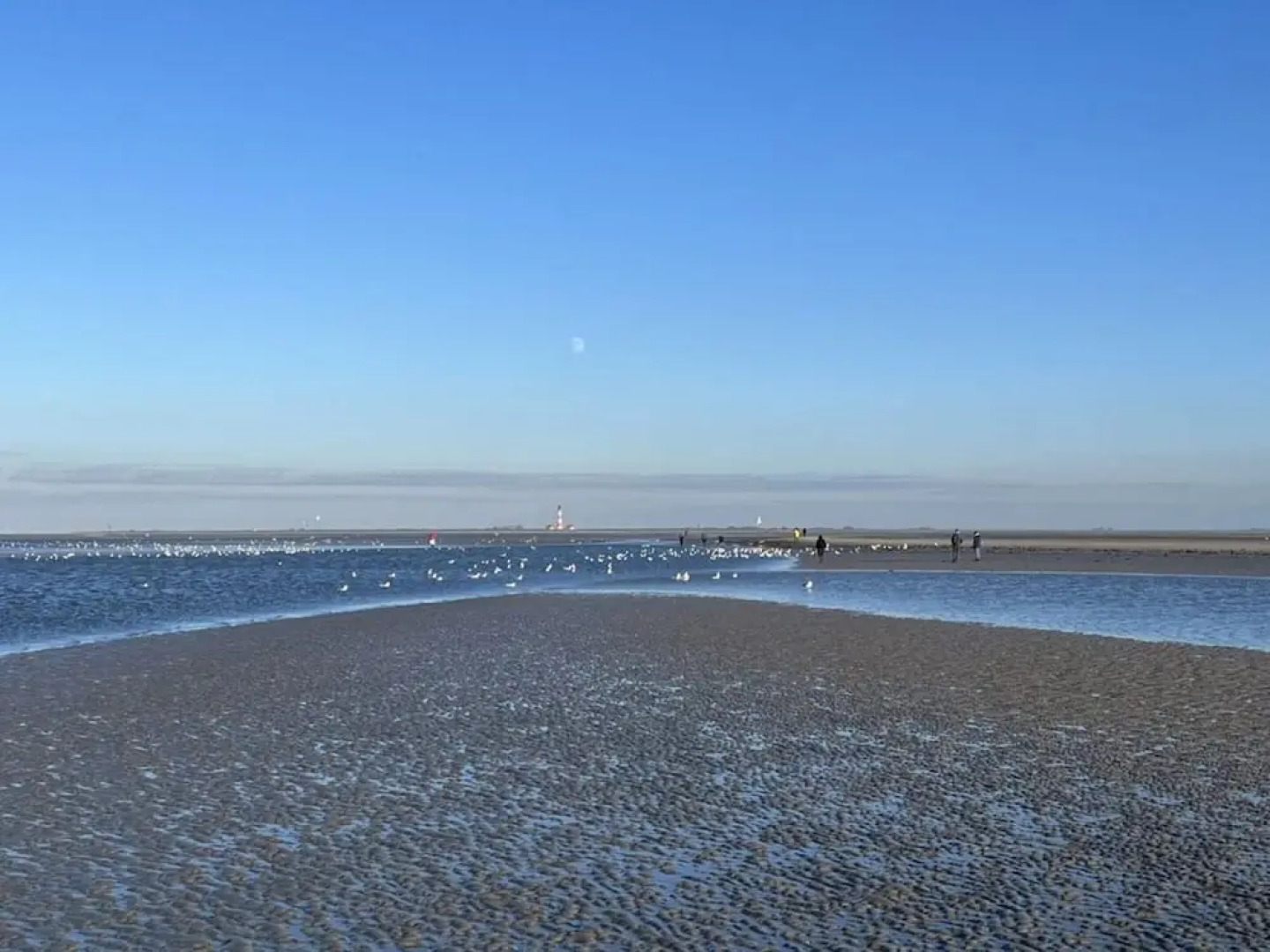 "luttdons" in the Haus am Deich