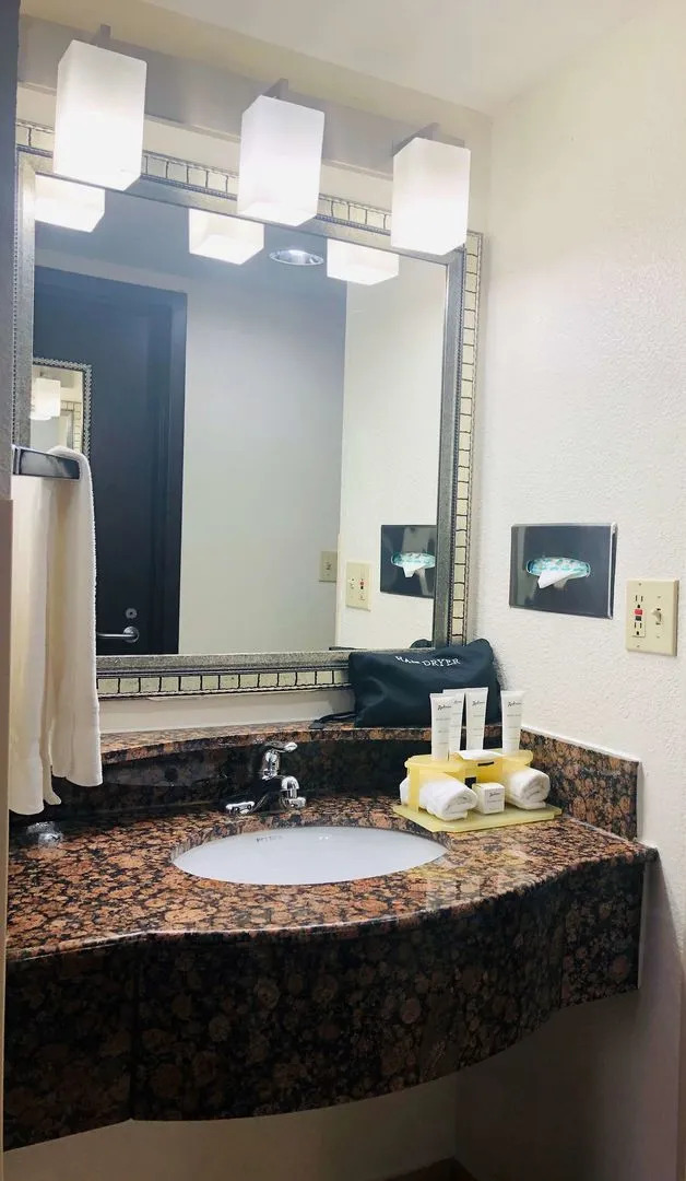 Holiday Inn Chicago - Schaumburg by IHG