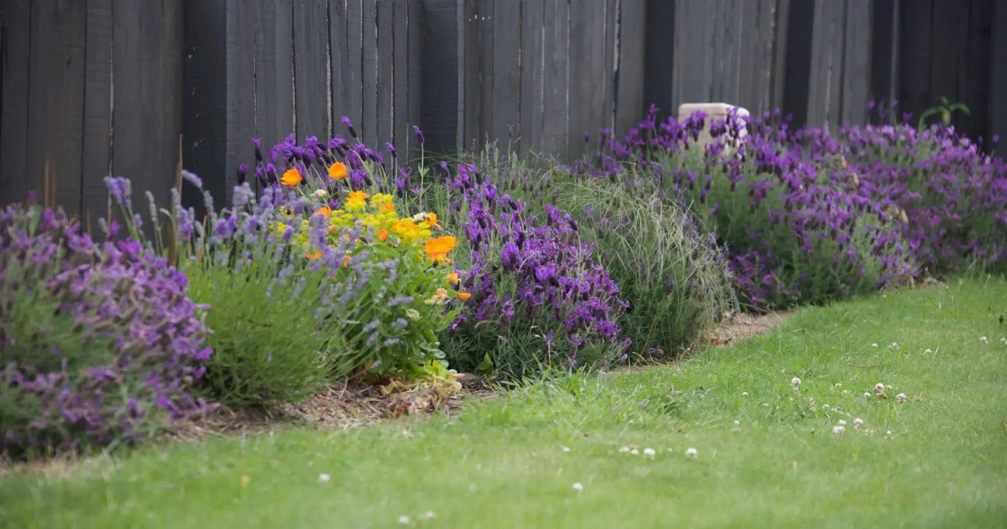 Pinedale Lodge & Apartment