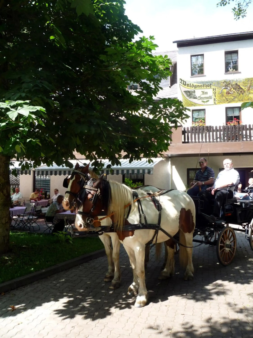Waldgasthof & Hotel Am Sauwald