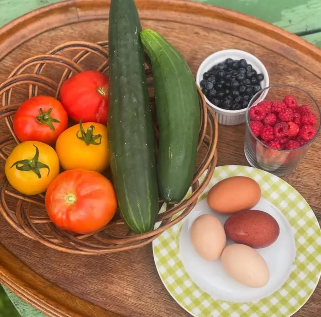 Bull-August gård vandrarhem/hostel