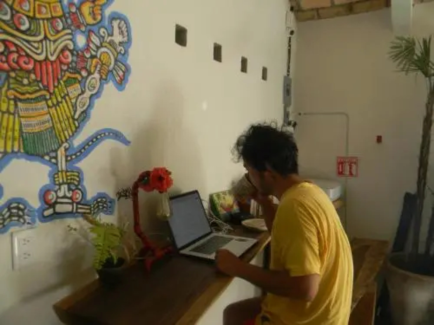 Shaka Surf House - Hostel