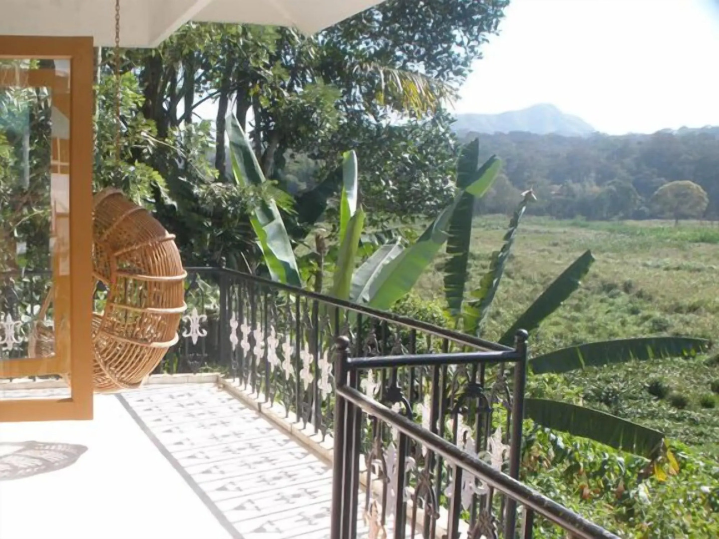 Jungle Palace Homestay