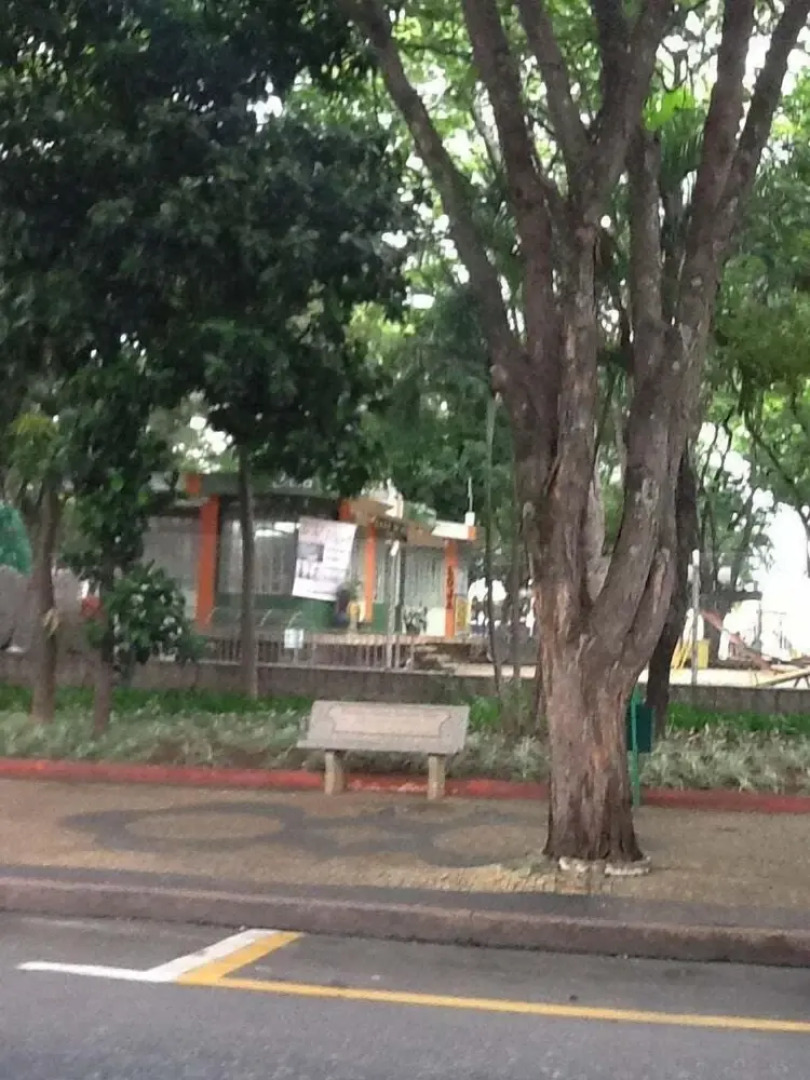 Pousada Hostel Brasil Indaiatuba Sp