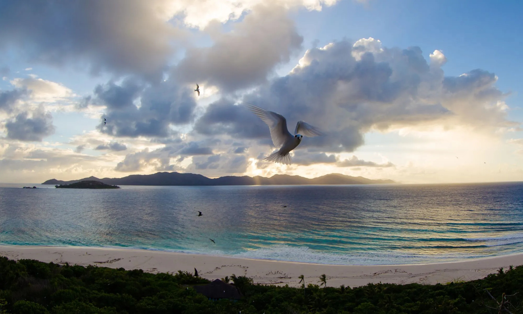 Cousine Island Seychelles