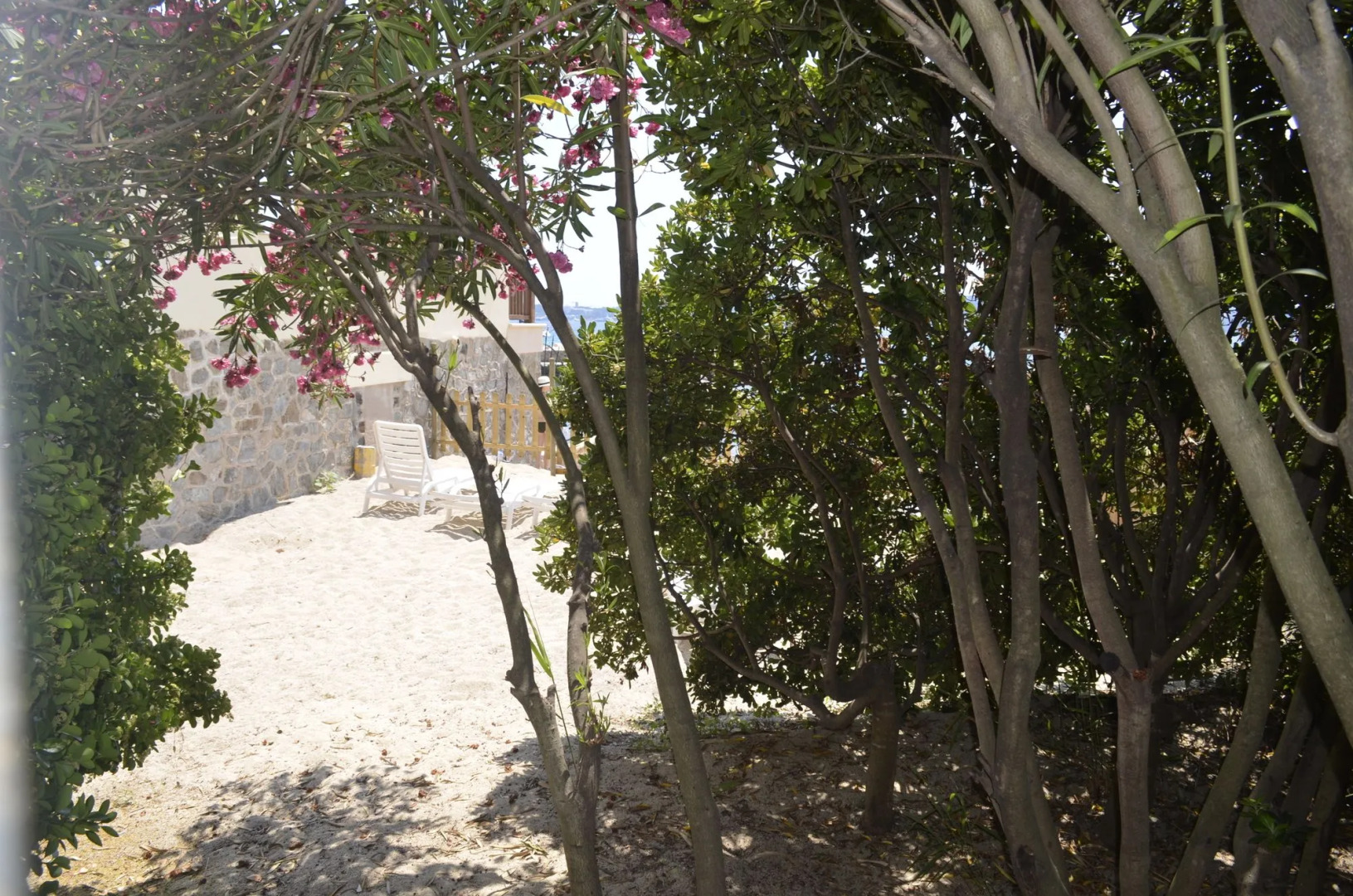 Villa Pointe Alègre