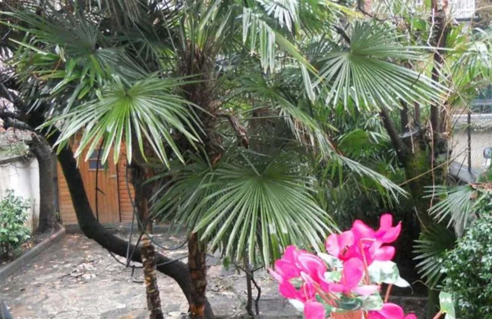 B&B Monteverdi Garden