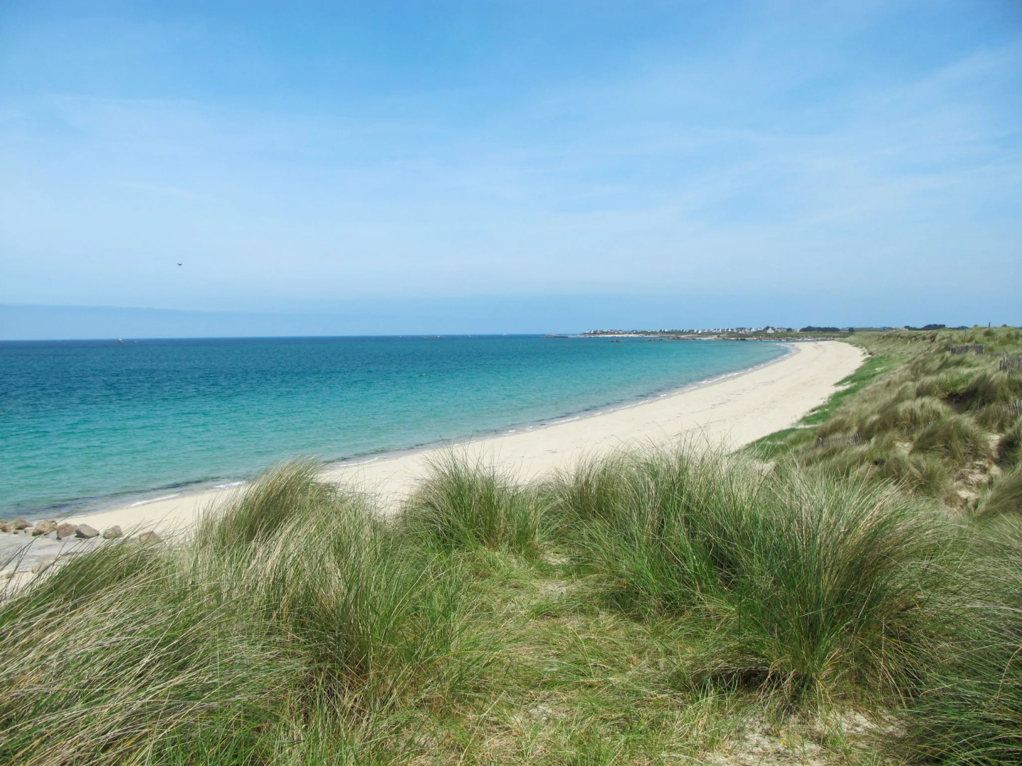 La Charmeuse (GOV203)