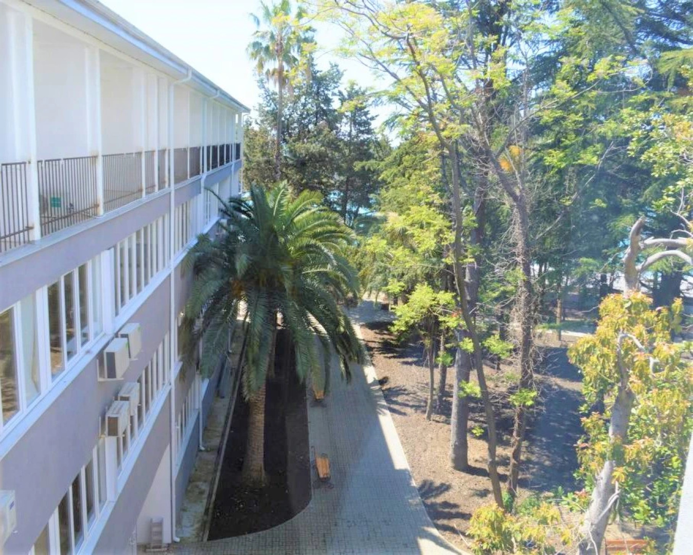 Отель Жоэквара