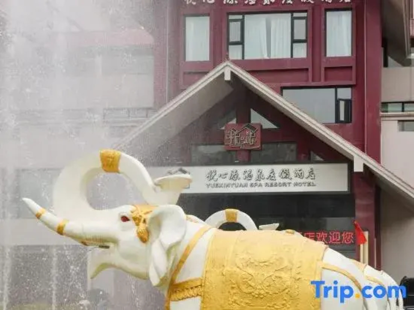 Yuexinyuan Hot Spring Resort Hotel