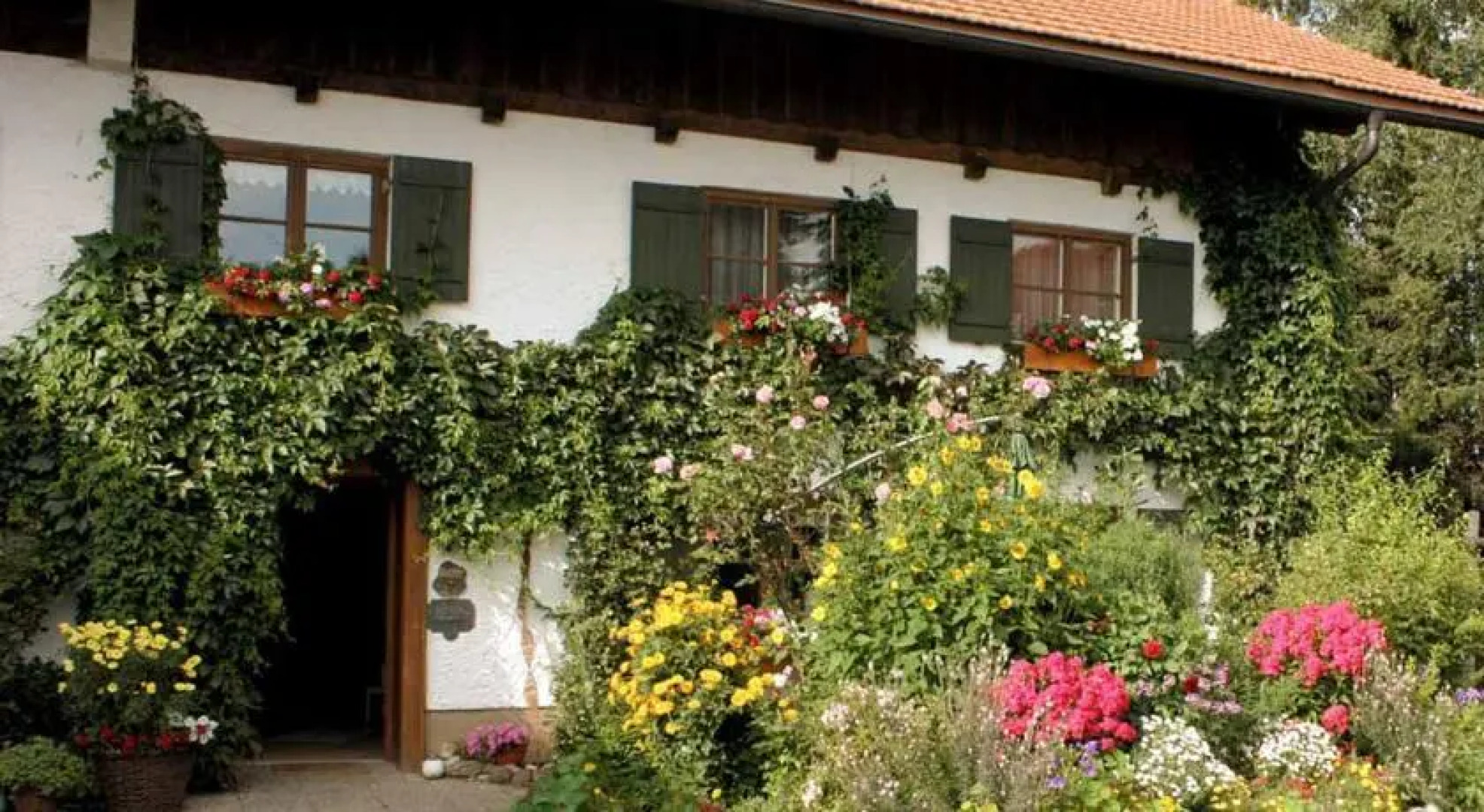 Ferienhof und Baumhaushotel