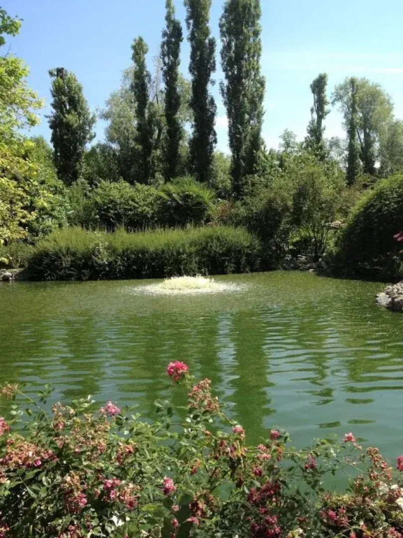 Villa Foscolo  Luxury Rooms & Apartments