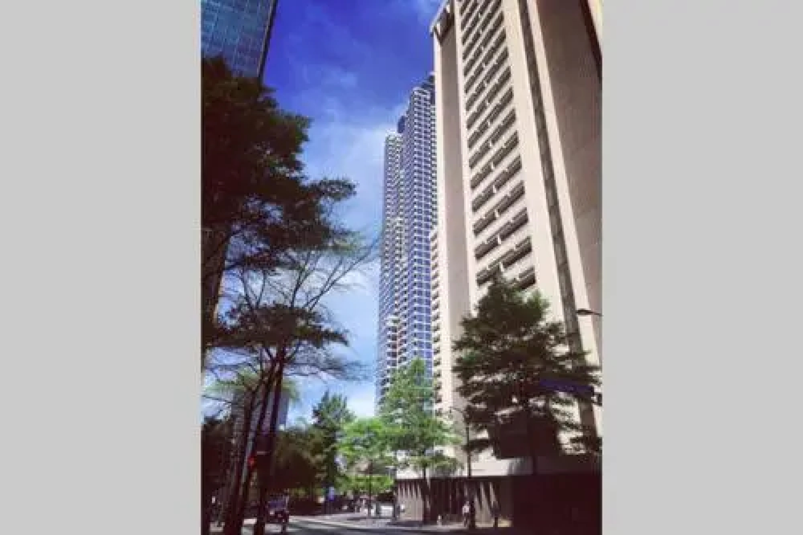 Downtown Oasis 2L