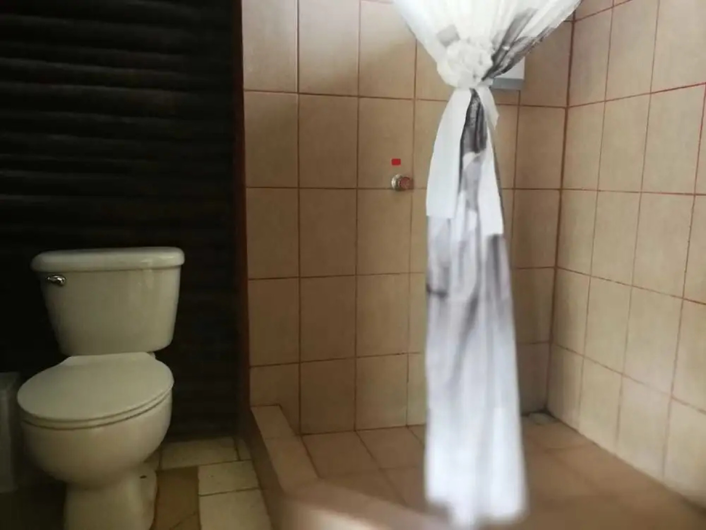 Hotel Rincon De La Vieja Lodge