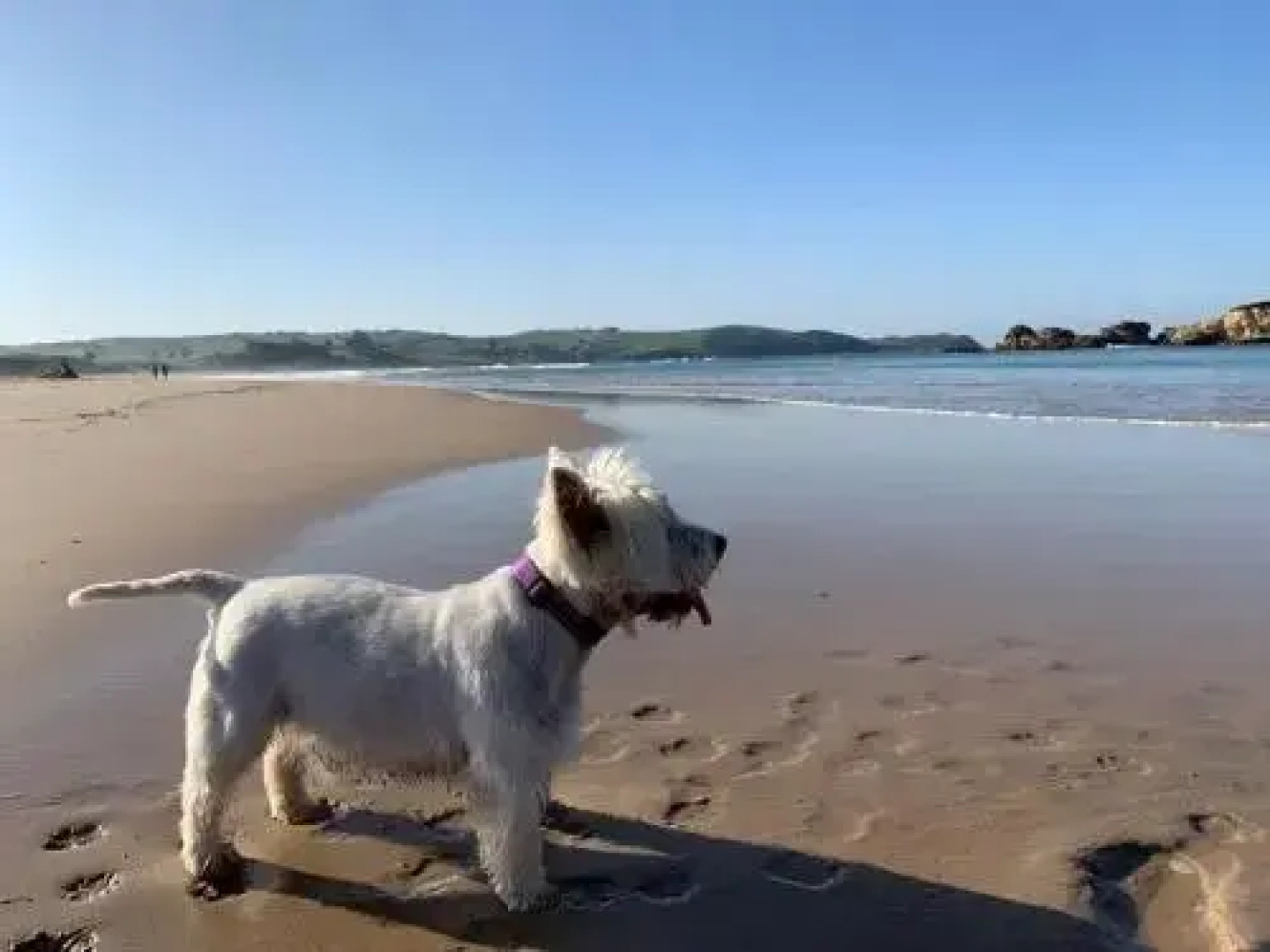 Apartamentos Ciudad de Petra