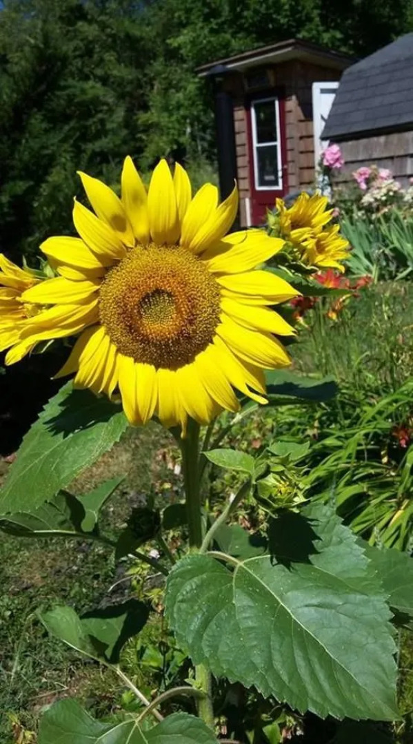 The Mission House Bed & Breakfast