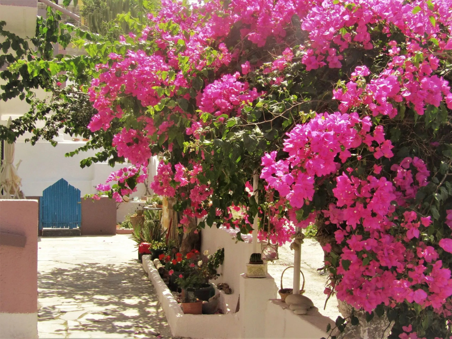 Apokoros Club Apt & Std Craft Deco & Activities