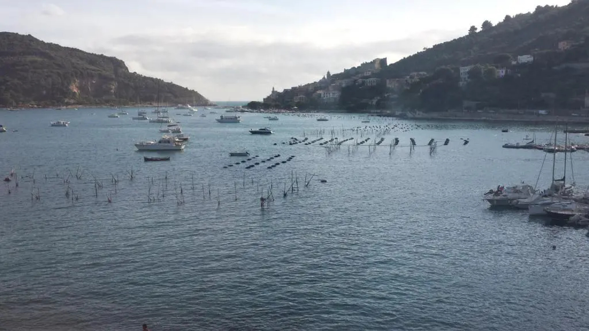 Le Terrazze di Portovenere
