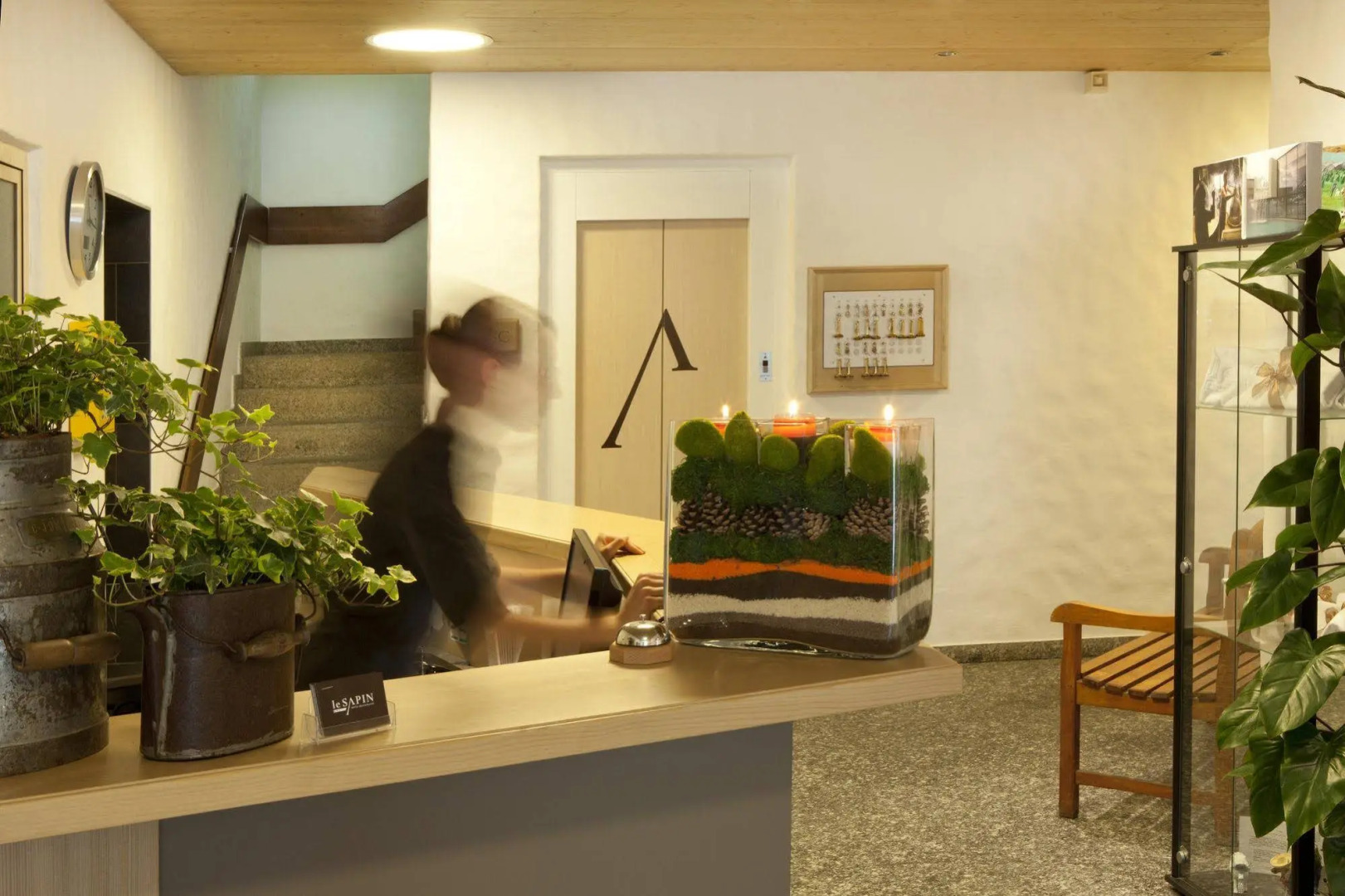 Résidence Hôtelière Le Sapin