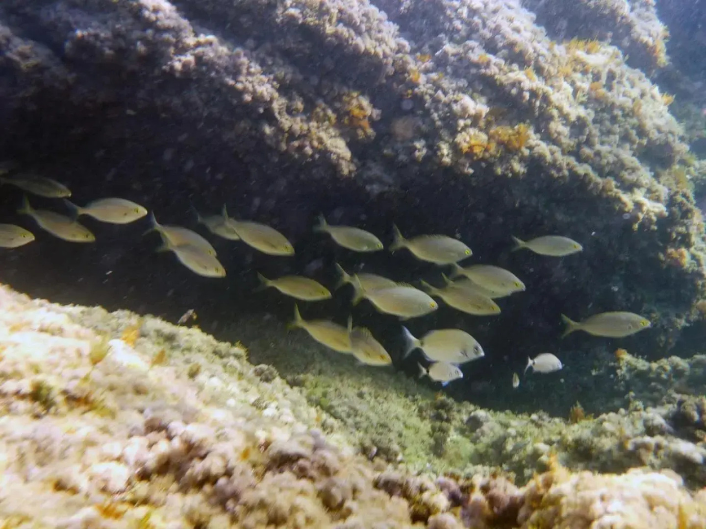 Appartamenti La Quiete